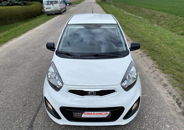 Kia Picanto cena 16900 przebieg: 140001, rok produkcji 2011 z Nowe Skalmierzyce małe 781